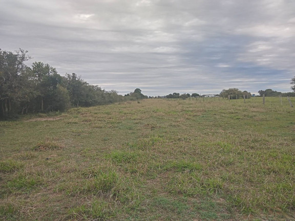 Imagem Chácara com 2 Quartos à Venda, 20.000 m² em águas Claras - Viamão