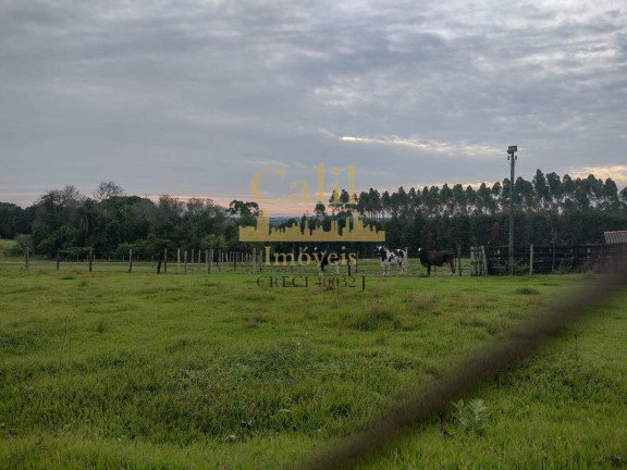Imagem Chácara com 7 Quartos à Venda, 1.156 m² em Pinhal - Boituva