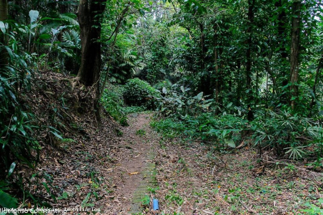Imagem Terreno à Venda, 84.000 m² em Vargem Pequena - Rio De Janeiro Imagem Terreno à Venda, 84.000 m² em Vargem Pequena - Rio De Janeiro