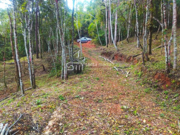 Imagem Imóvel com 1 Quarto à Venda, 5.000 m² em Casa Montanha - Delfim Moreira