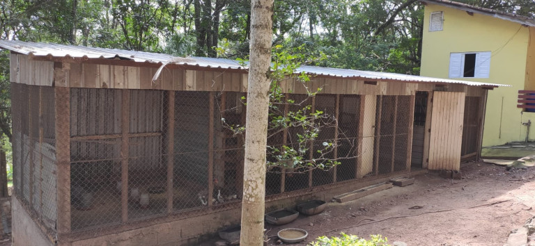 Imagem Imóvel com 9 Quartos à Venda, 1.000 m² em Itapetinga - Atibaia Imagem Imóvel com 9 Quartos à Venda, 1.000 m² em Itapetinga - Atibaia