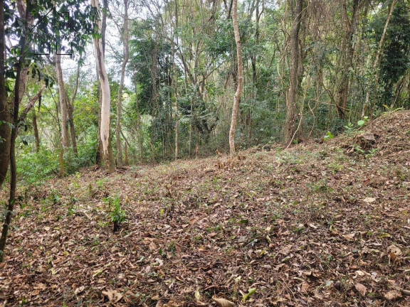 Imagem Chácara à Venda, 56 m² em Cachoeira Abaixo - Piracaia Imagem Chácara à Venda, 56 m² em Cachoeira Abaixo - Piracaia