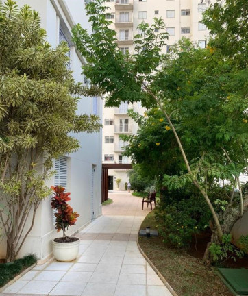 Imagem Apartamento com 3 Quartos à Venda, 65 m² em Vila Alzira - Santo André Imagem Apartamento com 3 Quartos à Venda, 65 m² em Vila Alzira - Santo André