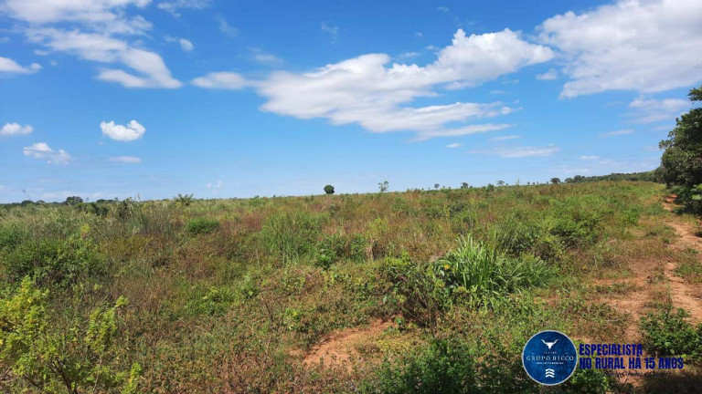 Imagem Fazenda à Venda, 456 m² em Zona Rural - Ananás Imagem Fazenda à Venda, 456 m² em Zona Rural - Ananás