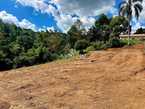 Imagem Terreno à Venda, 1.500 m² em Centro - Toledo