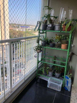 Imagem Apartamento com 2 Quartos à Venda ou Locação, 62 m² em Butantã - São Paulo Imagem Apartamento com 2 Quartos à Venda ou Locação, 62 m² em Butantã - São Paulo