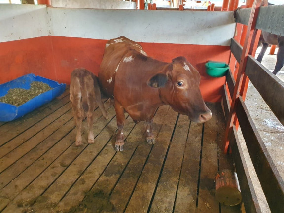 Imagem Fazenda à Venda, 115 m² em Centro - Paraibuna Imagem Fazenda à Venda, 115 m² em Centro - Paraibuna