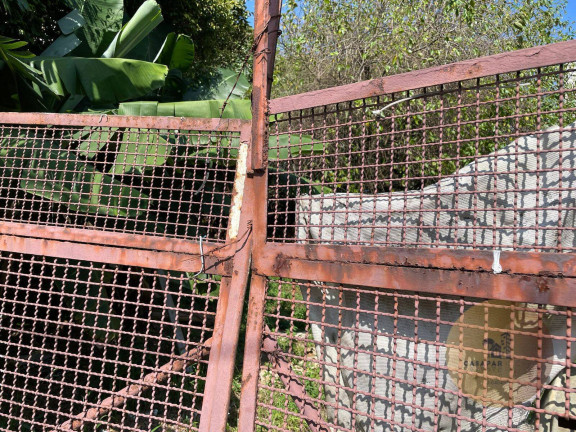 Imagem Terreno à Venda, 1 m² em São José - São Caetano Do Sul Imagem Terreno à Venda, 1 m² em São José - São Caetano Do Sul