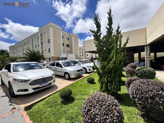 Imagem Apartamento com 2 Quartos à Venda, 47 m² em Boneca Do Iguaçu - São José Dos Pinhais