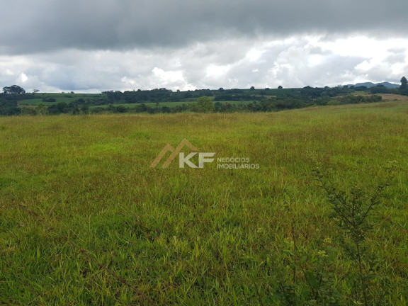 Imóvel com 2 Quartos à Venda, 800.000 m² em Zona Rural - Cajuru