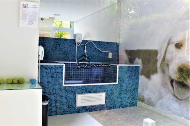 Imagem Apartamento com 2 Quartos à Venda, 91 m² em Vila Romana - São Paulo Imagem Apartamento com 2 Quartos à Venda, 91 m² em Vila Romana - São Paulo