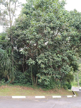 Imagem Terreno à Venda, 915 m² em Recanto Suiço - Vargem Grande Paulista Imagem Terreno à Venda, 915 m² em Recanto Suiço - Vargem Grande Paulista