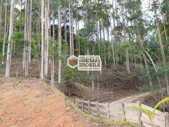 Terreno à Venda, 20.000 m² em Fazenda 1 - águas Mornas
