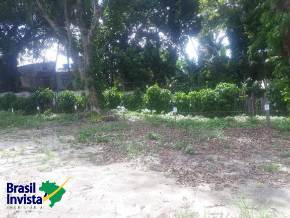 Imagem Terreno à Venda, 2 m² em Centro - Porto Seguro Imagem Terreno à Venda, 2 m² em Centro - Porto Seguro
