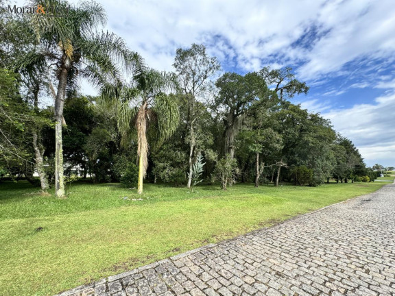 Imagem Terreno à Venda, 2.500 m² em Campo Largo Da Roseira - São José Dos Pinhais Imagem Terreno à Venda, 2.500 m² em Campo Largo Da Roseira - São José Dos Pinhais