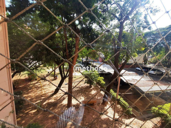 Imagem Apartamento com 2 Quartos à Venda, 77 m² em Vila Mimosa - Campinas Imagem Apartamento com 2 Quartos à Venda, 77 m² em Vila Mimosa - Campinas