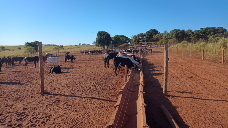 Imagem Imóvel à Venda, 126 m² em área Rural De Presidente Prudente - Presidente Prudente Imagem Imóvel à Venda, 126 m² em área Rural De Presidente Prudente - Presidente Prudente
