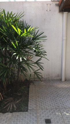 Imagem Casa com 2 Quartos para Alugar, 96 m² em Parque Rincão - Cotia Imagem Casa com 2 Quartos para Alugar, 96 m² em Parque Rincão - Cotia