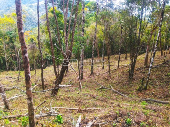 Imagem Imóvel com 1 Quarto à Venda, 5.000 m² em Casa Montanha - Delfim Moreira