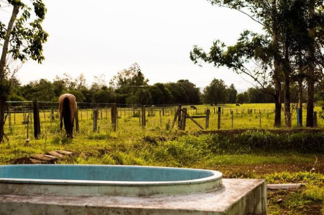 Imagem Fazenda à Venda, em Centro - Venâncio Aires Imagem Fazenda à Venda, em Centro - Venâncio Aires
