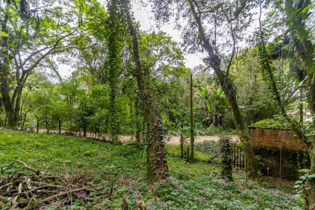Imagem Terreno à Venda, 745 m² em Santa Felicidade - Curitiba Imagem Terreno à Venda, 745 m² em Santa Felicidade - Curitiba