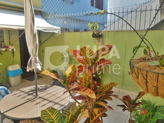 Imagem Casa com 3 Quartos à Venda, 258 m² em Vila Guilherme - São Paulo Imagem Casa com 3 Quartos à Venda, 258 m² em Vila Guilherme - São Paulo