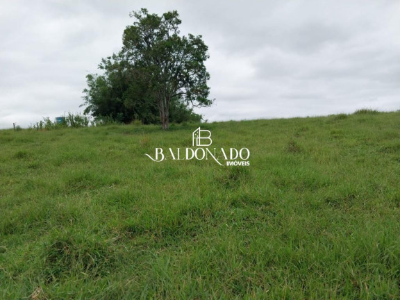 Imagem Imóvel com 5 Quartos à Venda, 338.800 m² em Caçapava - Caçapava Imagem Imóvel com 5 Quartos à Venda, 338.800 m² em Caçapava - Caçapava