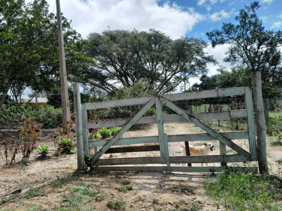 Imagem Chácara com 3 Quartos à Venda, em Cocaes - Sarapuí Imagem Chácara com 3 Quartos à Venda, em Cocaes - Sarapuí