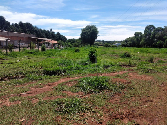 Imagem Terreno à Venda, 13.000 m² em Vila Camarão - Itapetininga Imagem Terreno à Venda, 13.000 m² em Vila Camarão - Itapetininga