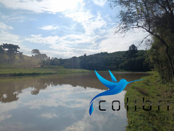 Imagem Chácara à Venda, 13.512 m² em Taquara Lisa - Agudos Do Sul