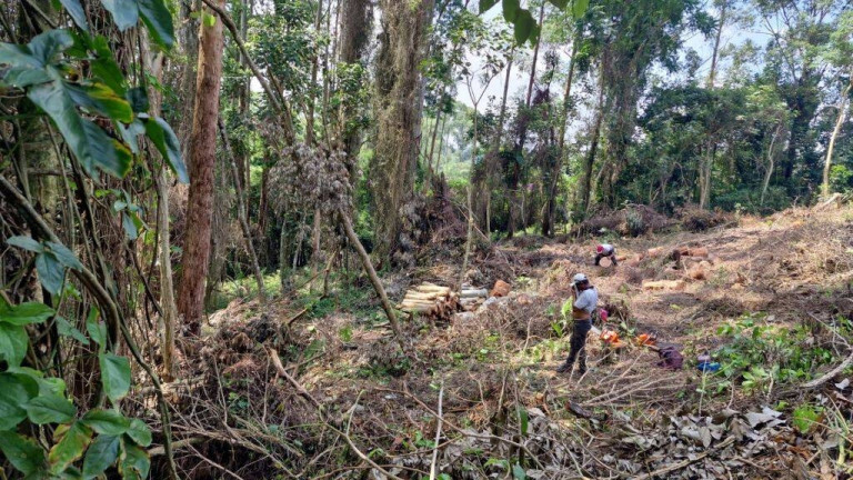 Imagem Terreno em Condomínio à Venda, 1.403 m² em Jardim São Vicente - Cotia Imagem Terreno em Condomínio à Venda, 1.403 m² em Jardim São Vicente - Cotia