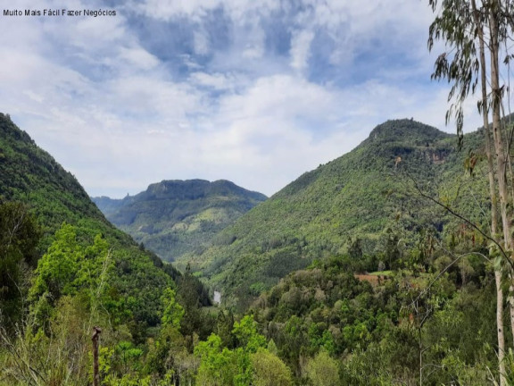 Imagem Terreno à Venda, 4 m² em São José Do Caí - Nova Petrópolis Imagem Terreno à Venda, 4 m² em São José Do Caí - Nova Petrópolis