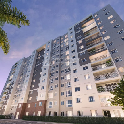 Imagem Apartamento com 3 Quartos à Venda, 60 m² em Barra Da Tijuca - Rio De Janeiro Imagem Apartamento com 3 Quartos à Venda, 60 m² em Barra Da Tijuca - Rio De Janeiro