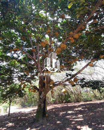 Imagem Imóvel com 2 Quartos à Venda, em Barra Do Pojuca (monte Gordo) - Camaçari Imagem Imóvel com 2 Quartos à Venda, em Barra Do Pojuca (monte Gordo) - Camaçari