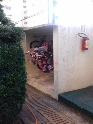 Imagem Apartamento com 3 Quartos à Venda, 65 m² em Jardim íris - São Paulo