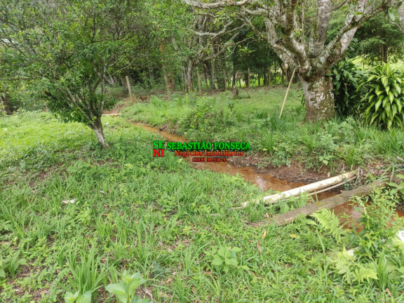 Imagem Chácara com 3 Quartos à Venda, 3.000 m² em Centro - Paraibuna Imagem Chácara com 3 Quartos à Venda, 3.000 m² em Centro - Paraibuna