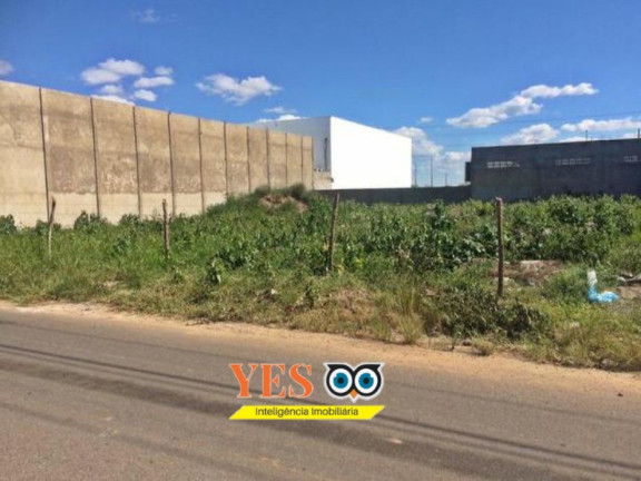 Imagem Terreno à Venda, 1.200 m² em Sim - Feira De Santana Imagem Terreno à Venda, 1.200 m² em Sim - Feira De Santana