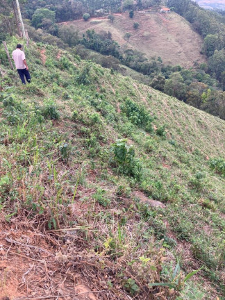 Imagem Terreno à Venda, 84.700 m² em São Domingos - Congonhal Imagem Terreno à Venda, 84.700 m² em São Domingos - Congonhal