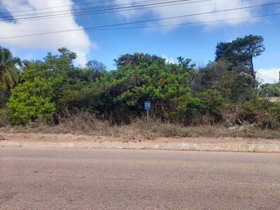 Imagem Terreno à Venda, 1.000 m² em Praia De Sibaúma - Tibau Do Sul Imagem Terreno à Venda, 1.000 m² em Praia De Sibaúma - Tibau Do Sul
