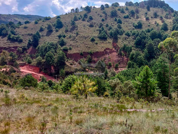 Imagem Terreno à Venda, 1 m² em Atalaia - Campos Do Jordão Imagem Terreno à Venda, 1 m² em Atalaia - Campos Do Jordão