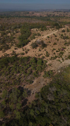 Imagem Fazenda à Venda, em Sinop Imagem Fazenda à Venda, em Sinop
