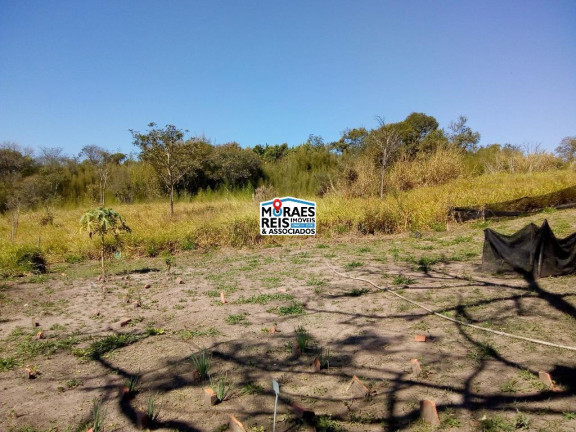 Imagem Fazenda à Venda, 222.000 m² em Vila Independência - Piracicaba