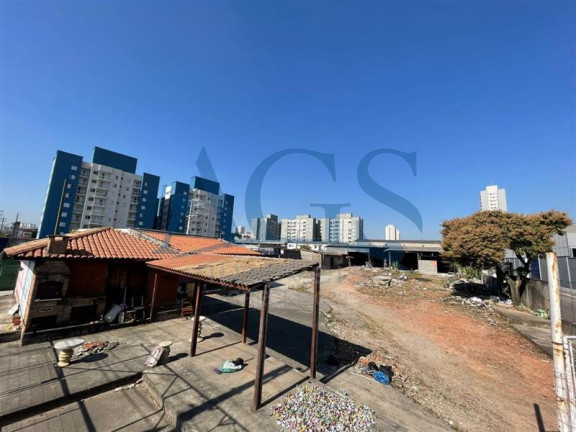 Imagem Terreno para Alugar, 350 m² em Aricanduva - São Paulo Imagem Terreno para Alugar, 350 m² em Aricanduva - São Paulo