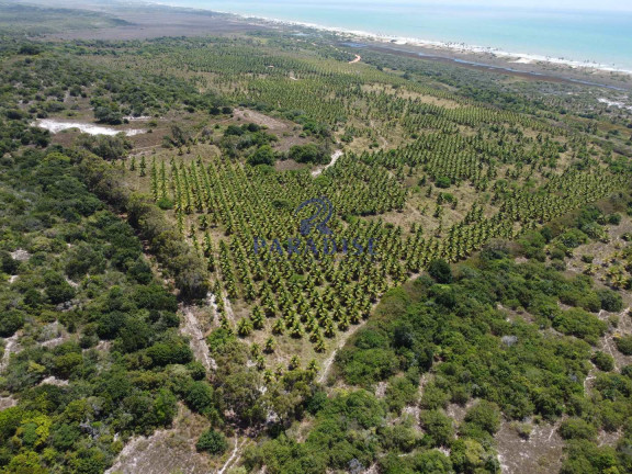 Imagem Fazenda à Venda, 640.000 m² em Barra De Itariri - Conde Imagem Fazenda à Venda, 640.000 m² em Barra De Itariri - Conde