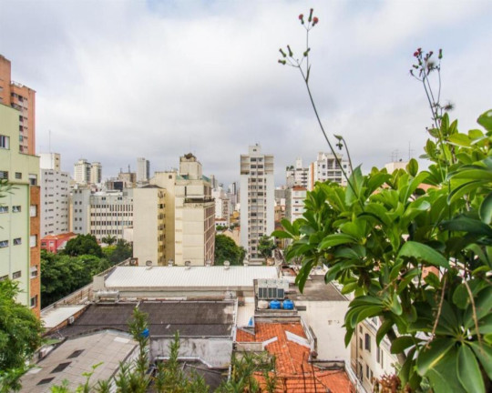 Imagem Apartamento com 3 Quartos à Venda, 115 m² em Higienópolis - São Paulo Imagem Apartamento com 3 Quartos à Venda, 115 m² em Higienópolis - São Paulo