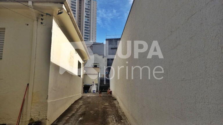 Imagem Terreno à Venda, 141 m² em Vila Maria Alta - São Paulo