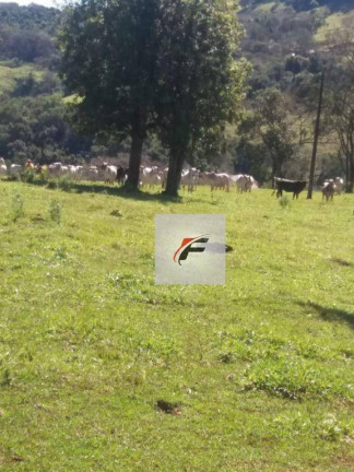 Imagem Fazenda à Venda, 1.936.000 m² em Guampará - Marquinho Imagem Fazenda à Venda, 1.936.000 m² em Guampará - Marquinho