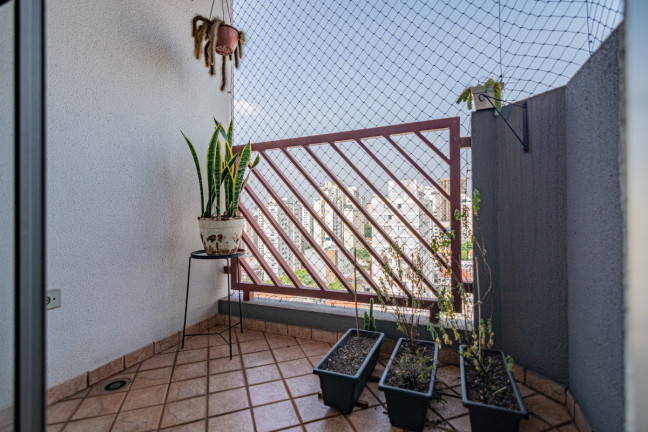 Imagem Apartamento com 3 Quartos à Venda, 76 m² em Vila Pompéia - São Paulo Imagem Apartamento com 3 Quartos à Venda, 76 m² em Vila Pompéia - São Paulo