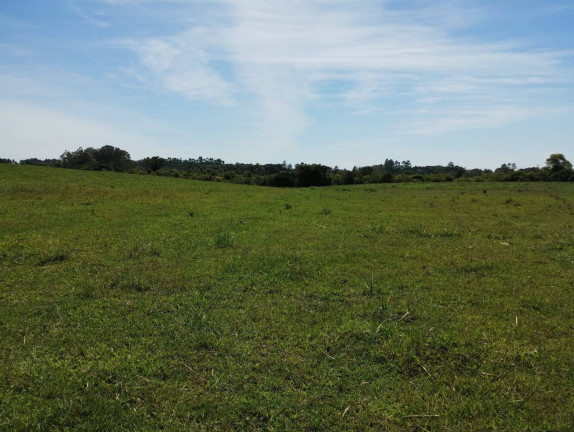 Imagem Chácara à Venda, 173 m² em Caju - Nova Santa Rita Imagem Chácara à Venda, 173 m² em Caju - Nova Santa Rita