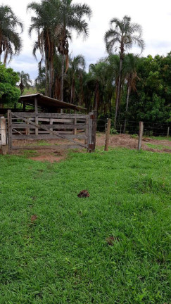 Imagem Chácara à Venda, 5 m² em Zona Rural - Anicuns Imagem Chácara à Venda, 5 m² em Zona Rural - Anicuns